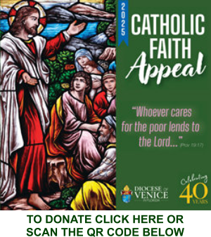 catholicfaithappeal25 sidebar